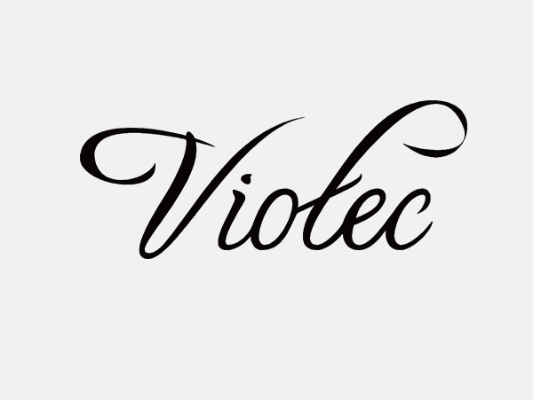 viotec(图1)